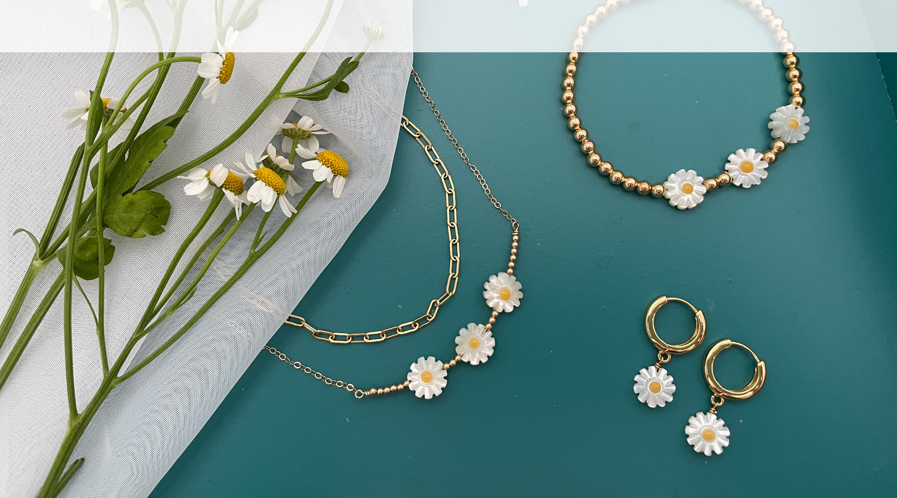 The Daisy Collection